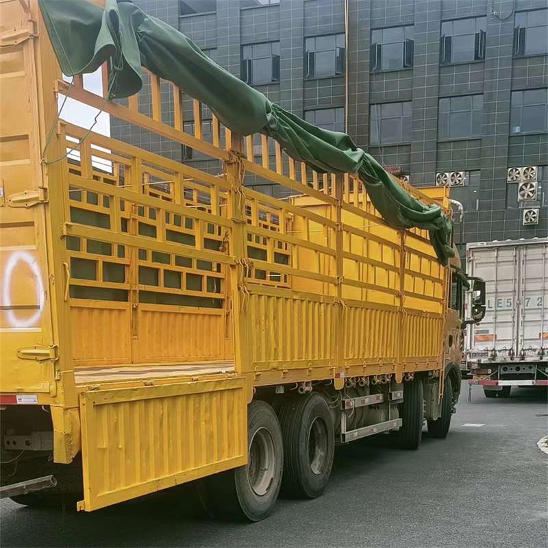 龙河镇吉安市物流：多元服务与高效运输线路探秘