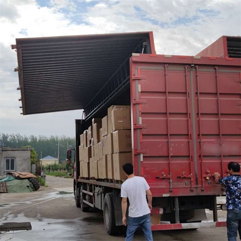 龙河镇扎囊县：物流专线的高效货运之旅